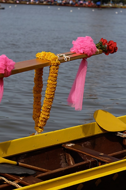 Phimai boat races-2013-033